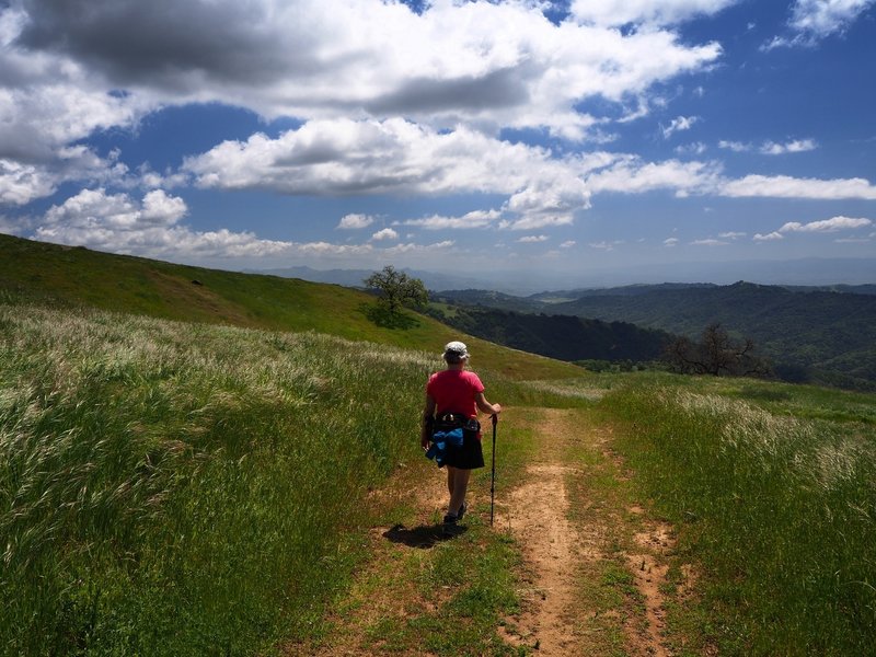 Along Steer Ridge Road