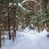 Trail is obvious, but gets deep near the intersection with the Walden Trail.