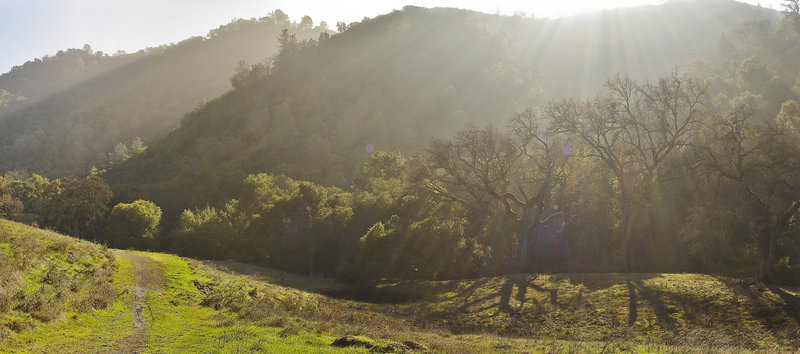 The winter sun shines over Pine Ridge from Burma Road in Mount Diablo State Park