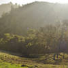 The winter sun shines over Pine Ridge from Burma Road in Mount Diablo State Park