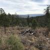 View of Ruidoso on T121