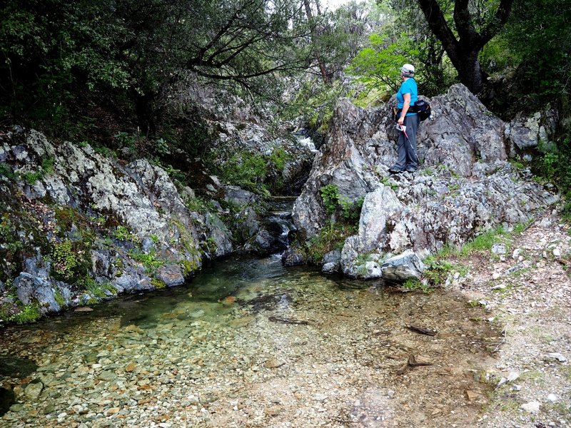 A small cascade and pool just off the connector trail