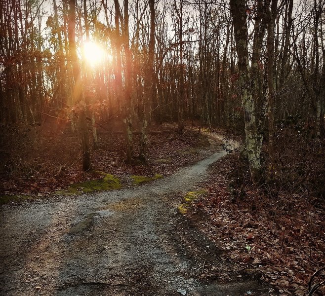 Fall sunset on the Pine Trail.