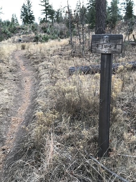 Junction at Cedar Creek Rd