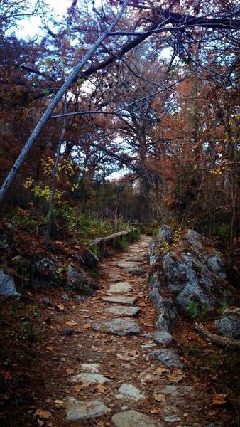 Hamilton Pool Loop Trail