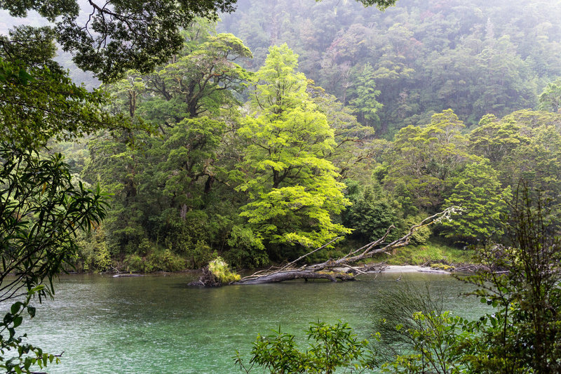 View across the Clinton River on a rainy day