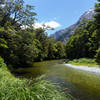 A brief glimpse at the Clinton River from within the temperate rain forest.