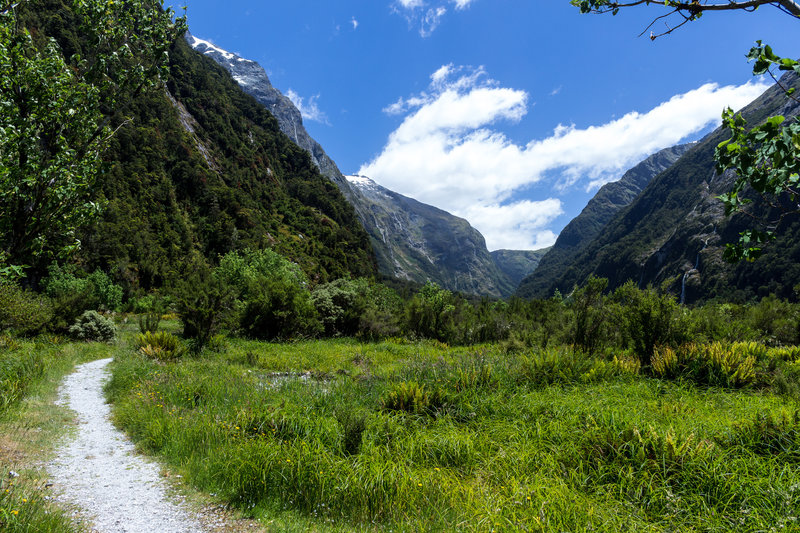 Clinton Valley looking towards Mackinnon Pass