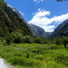 Clinton Valley looking towards Mackinnon Pass