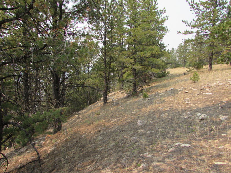 A taste of the trail to Leigh Monument