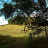 Emerging from the woods into the grass hills of Figueroa Trail