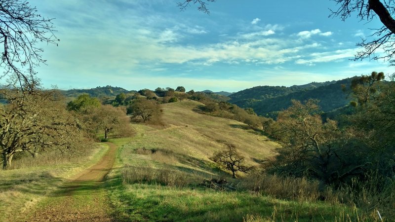 Pena Trail meanders on grass ridge with the Santa Cruz Mountains in the distance, to the south.