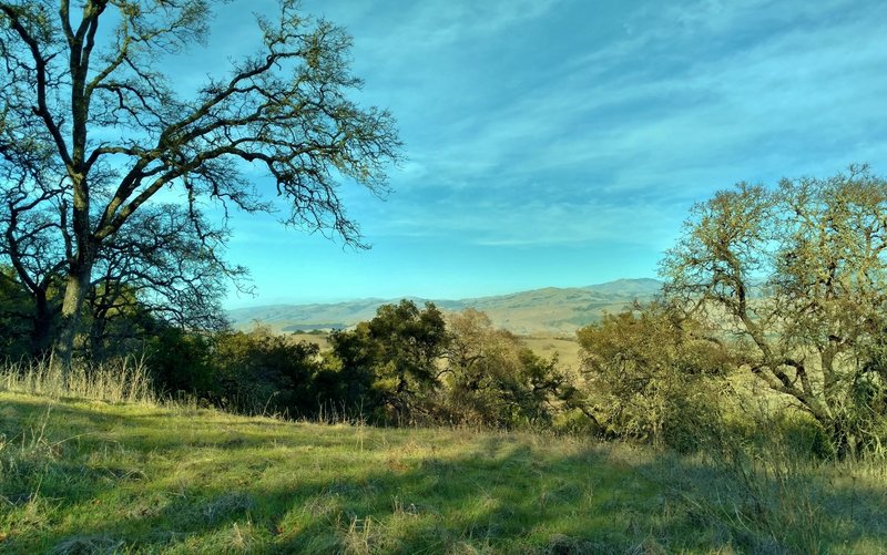 The Diablo Range can be seen in the distance to the northeast, on the other side of Santa Clara Valley, from high on Pena Trail.