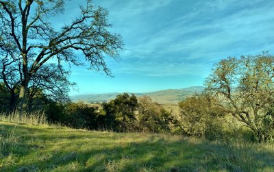 The Diablo Range can be seen in the distance to the northeast, on the other side of Santa Clara Valley, from high on Pena Trail.