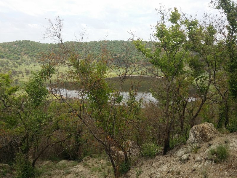 A view of the Tswaing meteor impact crater.