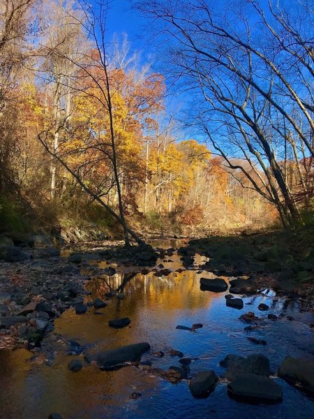 Holmes Run during Fall