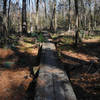 Boardwalks help with crossing Little Lake Creek (which was mostly dry in January)