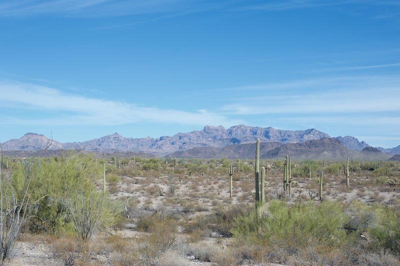 Views of the Ajo range sit off to the left hand side of the trail as you head to the Campground.