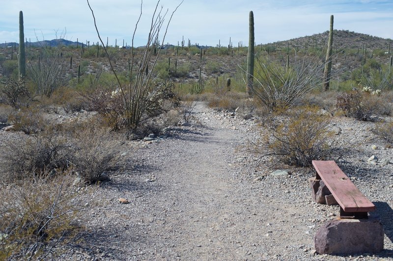 Benches sit alongside the trail in case you need to rest on the journey.