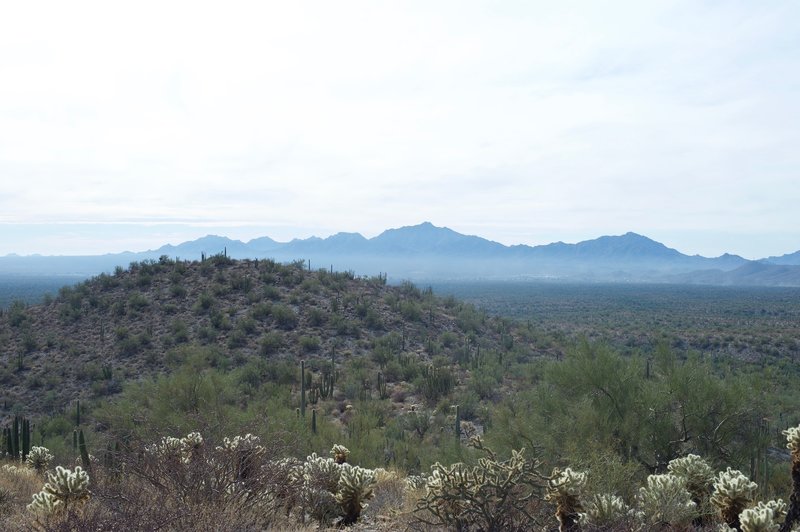 As you reach the top of the hill, views of the surrounding mountains spread out before you.   Here you can see the Cubabi Mountains in Mexico to the South.