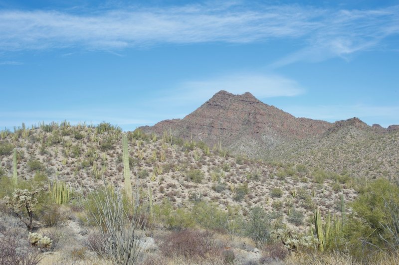 The Twin Peaks can be seen as you look to the North.