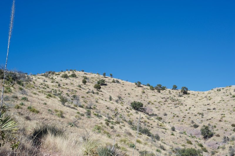 You can see the trail as it works its way along the hillside above you at this point.