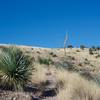 The trail is narrow and grasses encroach on the trail, so even though it is hot, pants are recommended to help protect your legs.