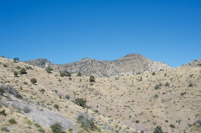 The trail climbs gently along the hillside to a gap in the ridge where the trail meets up with the Joe's Canyon Trail.