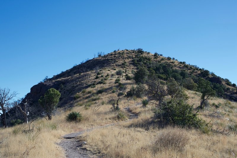 The Coronado Peak Trail climbs the hill using switchbacks and stairs.