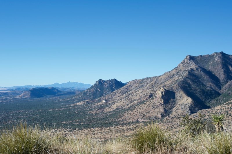 Looking back at the mountains in the Coronado National Monument. You can see how green the desert is here.