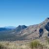 Looking back at the mountains in the Coronado National Monument. You can see how green the desert is here.