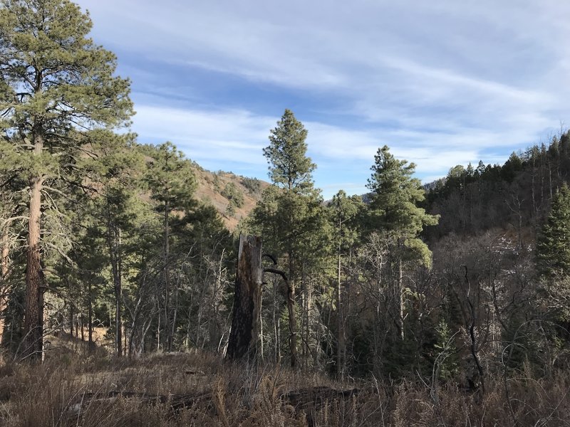 View back down Little Bonito Canyon