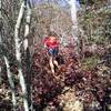 Nice "view" of the trail leading up to Rocky Knob and what you can expect.