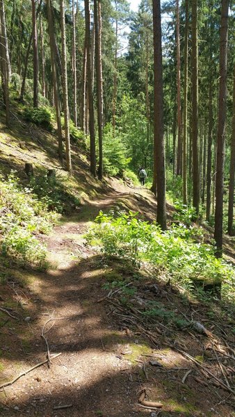 Elsterperlenweg