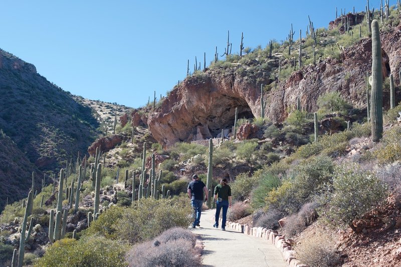 Hiking up to the Lower Cliff Dwelling. The fact that the trail is paved make it popular.