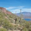 The view of the hillside and lake from the Cactus Patch Trail.