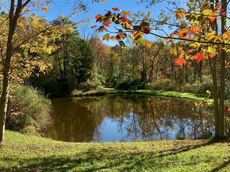 Upper pond in Broughton Nature and Wildlife Education Area.