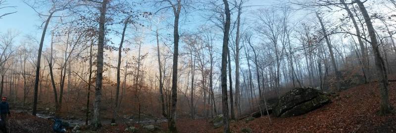 Dawn in the Hurricane Creek Wilderness