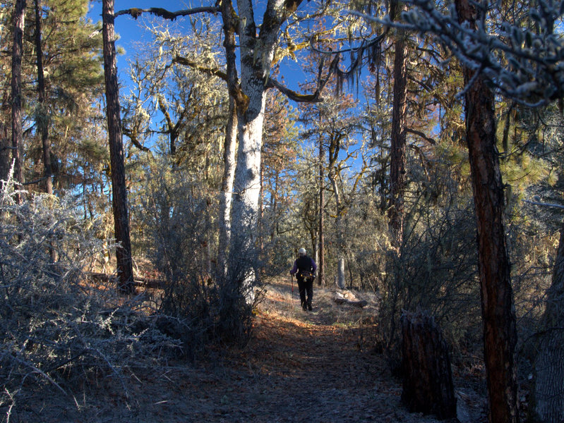 Starting up the trail