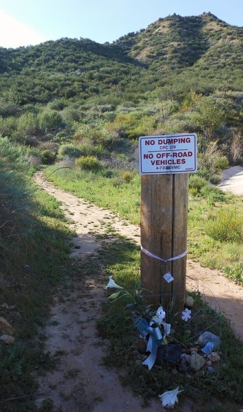 Trailhead. Hidden now under foliage.