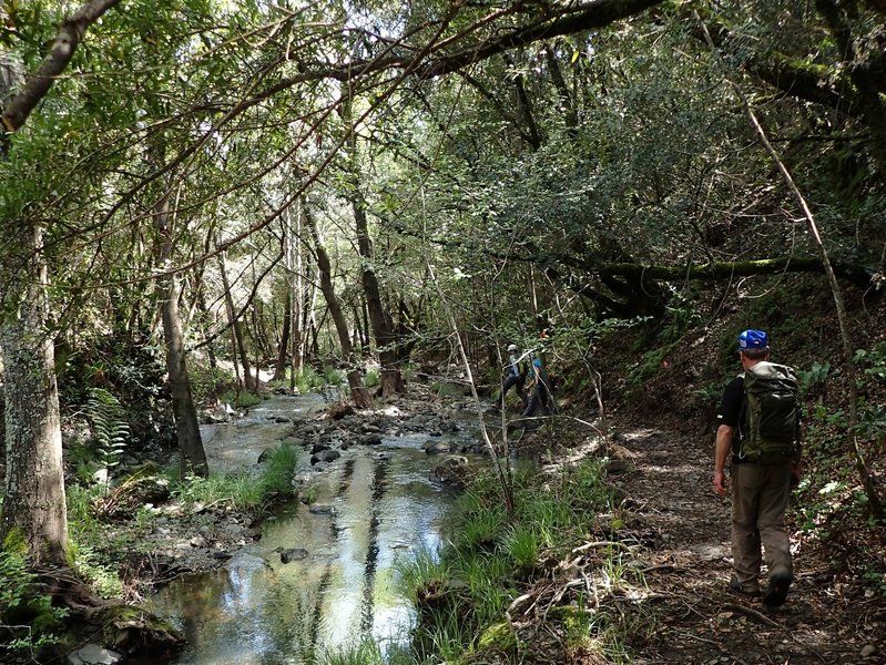 The first crossing of Moore Creek