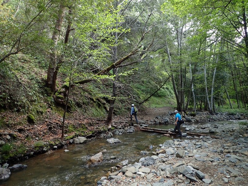 Yet another crossing of Moore Creek