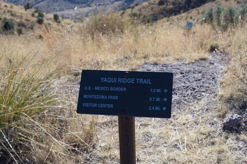 The trail intersects with the Yaqui Ridge Trail at roughly .7 miles. From here, you have another 2.4 miles of descent until you reach the road down in the valley close to the visitor center.