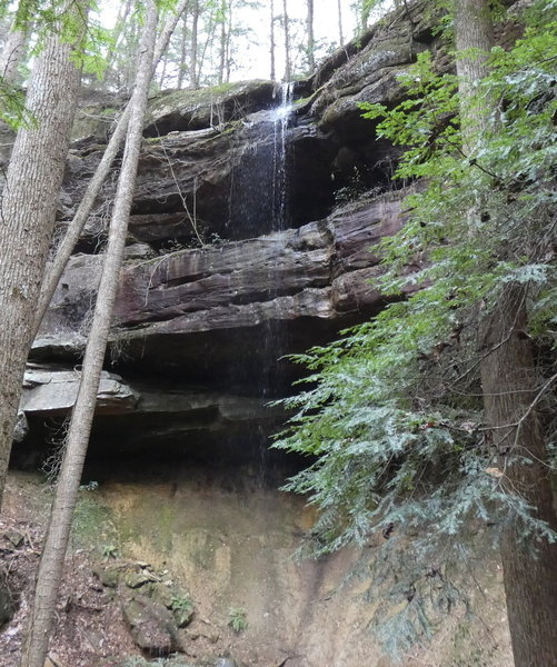 Waterfall in the Sipsey Wilderness