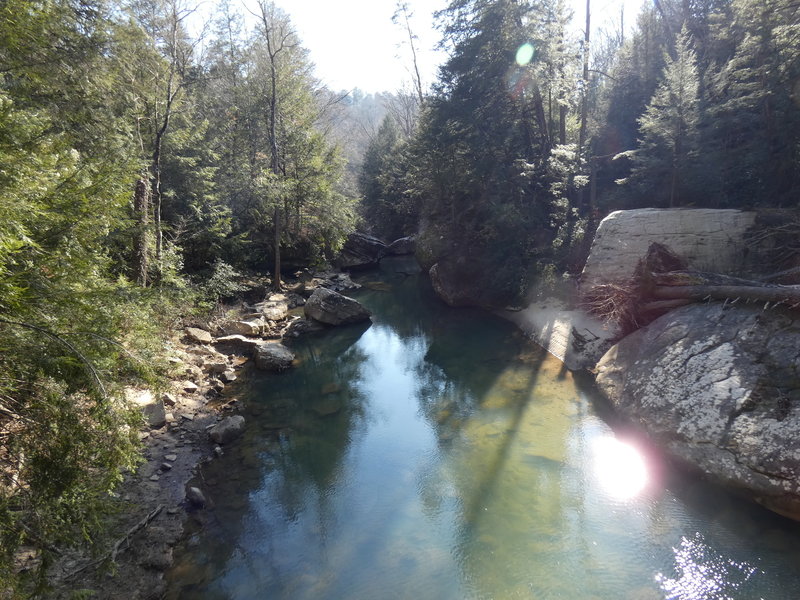 View along the Sipsey River