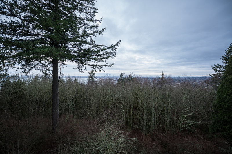 View from the top of the observation tower on an overcast winter afternoon.