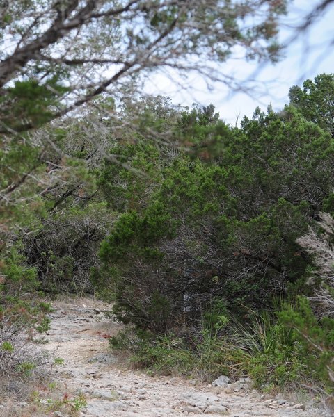 Main Loop Trail, Friedrich Wilderness State Park, San Antonio, Texas