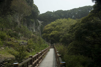 The boardwalk section of the trail offers nice views of the cliffs
