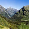 Moving back below the treeline on the descent from Mackinnon Pass