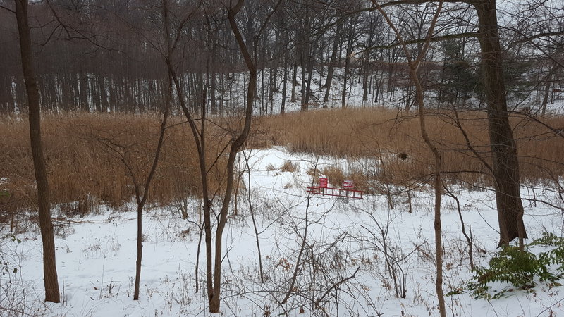POND under the snow with red rescue ladder in case someone falls through ice.